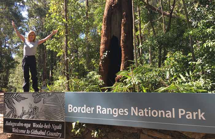Border ranges National park