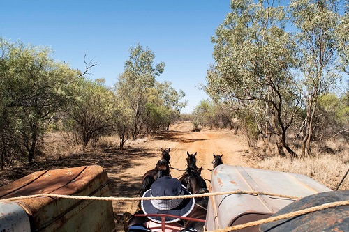 obb and co Longreach Outback Pioneers Experience