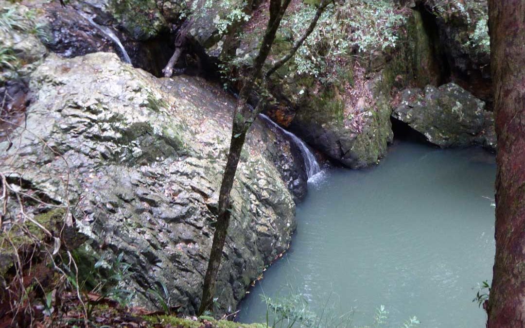How To Find Unicorn Falls In Mount Jerusalem National Park NSW