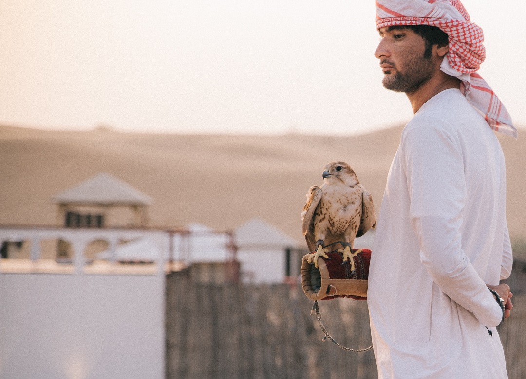 Dubai Falconry Experience