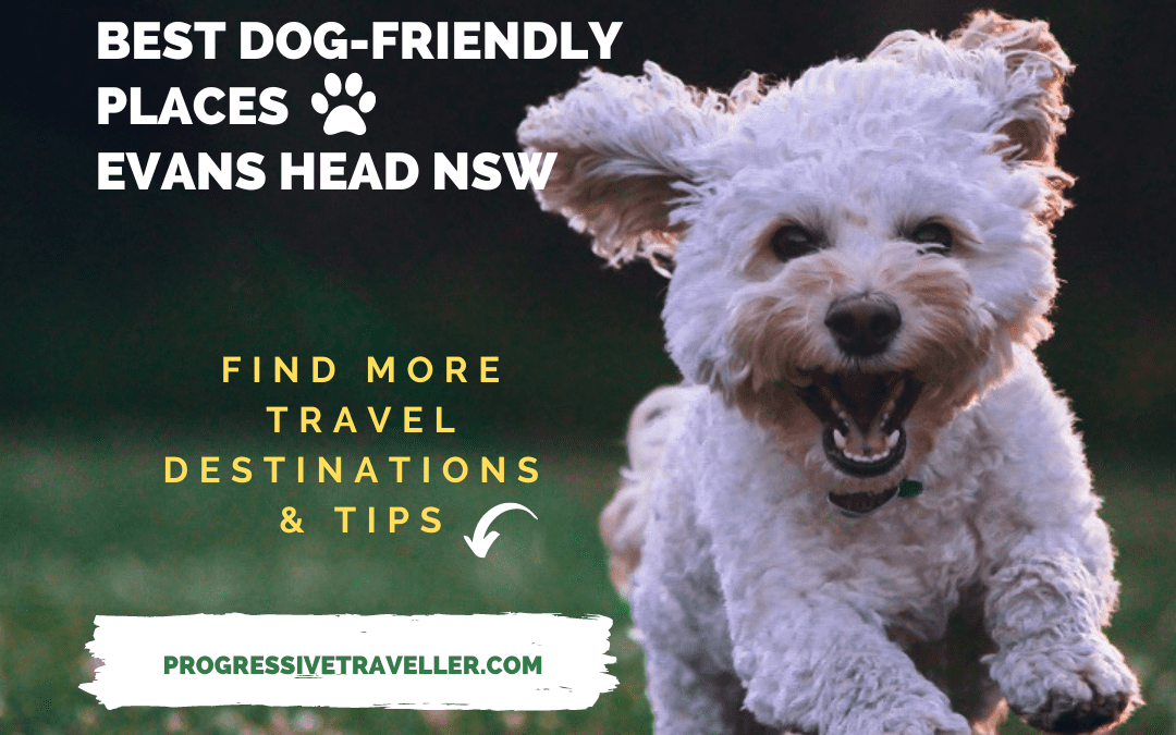 Discover the Best Dog-Friendly Places in Evans Head NSW